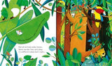 Usborne: Peep Inside Collection: Animal Homes