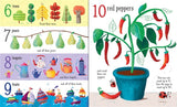 Usborne: Big Picture Book: Count to 100