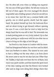 The Accidental President Collection - 5 Books