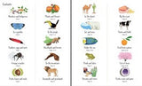 Usborne 1000 things in nature