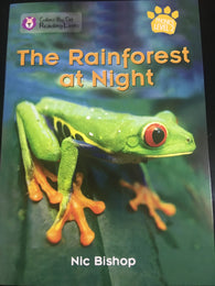 Collins Big Cat The Rainforest at Night