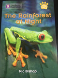 Collins Big Cat The Rainforest at Night